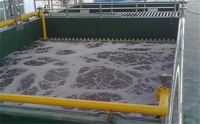 （圖：循環水起泡現場）