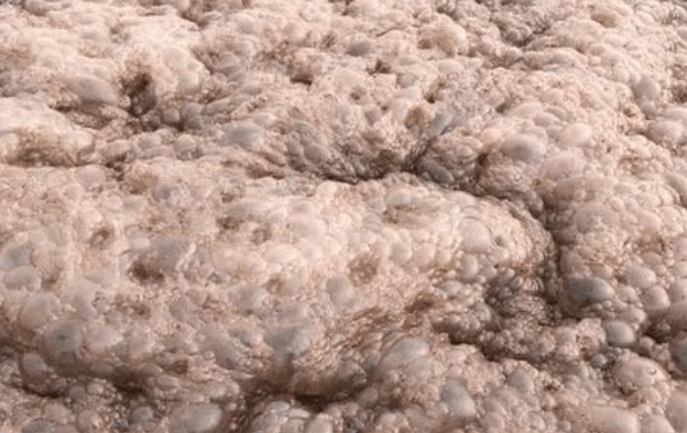 （圖：垃圾填埋場污水泡沫）