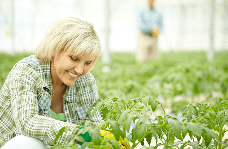 （圖：南輝消泡劑廠家除草劑消泡劑運用）