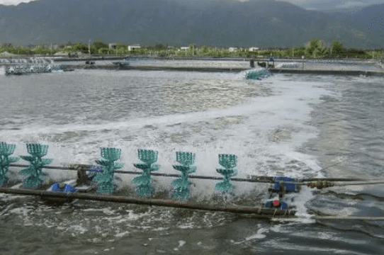 養殖水處理消泡